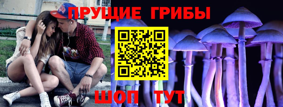 как найти закладки  Галлюциногенные грибы ЛСД  Вход с VPN  Выборг  Галлюциногенные грибы MAGIC MUSHROOMS 